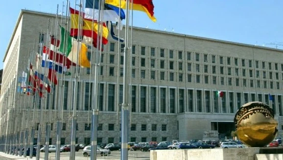 На зустрічі «Великої п’ятірки ЄС плюс» у Римі обговорять допомогу для України - МЗС Польщі
