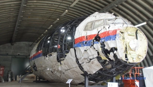У Відні покажуть фільм «Залізні метелики» до 10-х роковин трагедії MH17