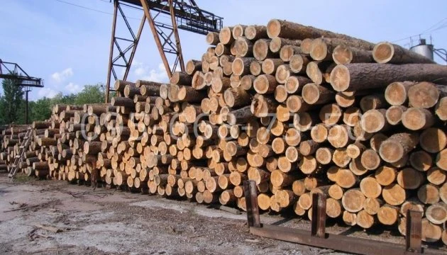 У Росії підприємства лісової промисловості через санкції зазнають збитків - ЦПД