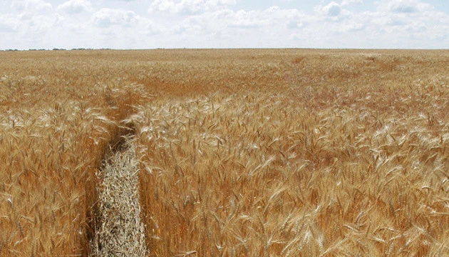 Думки українців щодо продажу землі розділилися порівну
