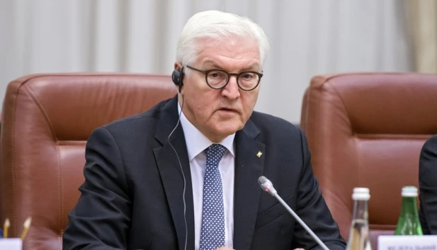 Штайнмаєр розкритикував Ердогана за висловлювання про президента Франції