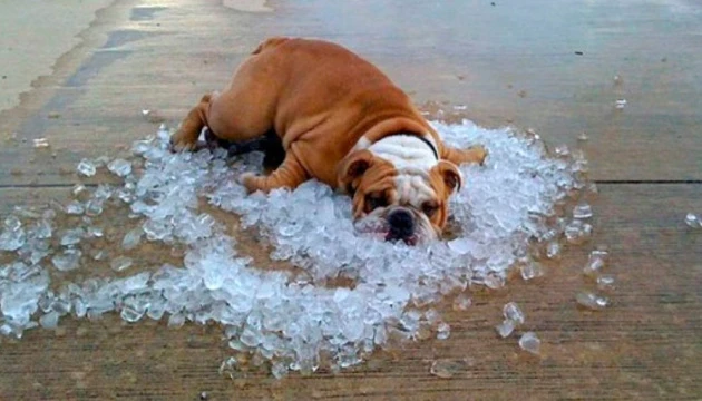 Синоптики на перший день осені прогнозують спеку до 36°, місцями - дощі