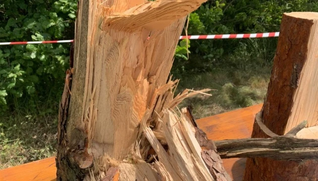 На Рівненщині буревій знищив понад 700 гектарів лісу