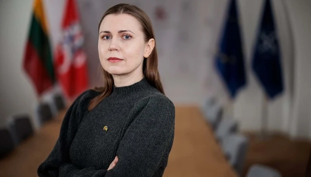 Вторинні санкції США проти Росії були б надзвичайно ефективною «зброєю» - глава Міноборони Литви