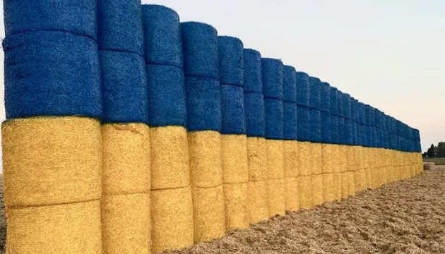 На Тернопільщині із тюків соломи виклали велетенський прапор України