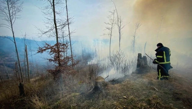 ДСНС цьогоріч застосувала понад 1000 адмінстягнень до людей за самовільне випалювання трави