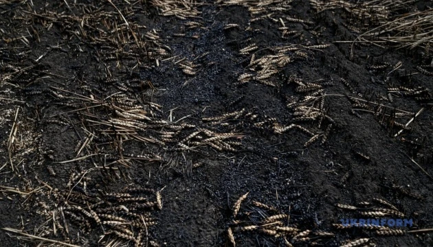На Кіровоградщині горіло поле внаслідок падіння уламків російських дронів
