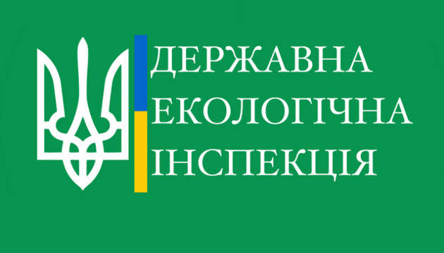 Держекоінспекцію вчасно не поінформували про загибель лева у Рівненському зоопарку