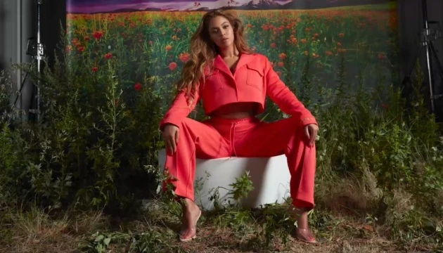 Зірковий мед: Beyoncé на карантині зайнялась бджільництвом