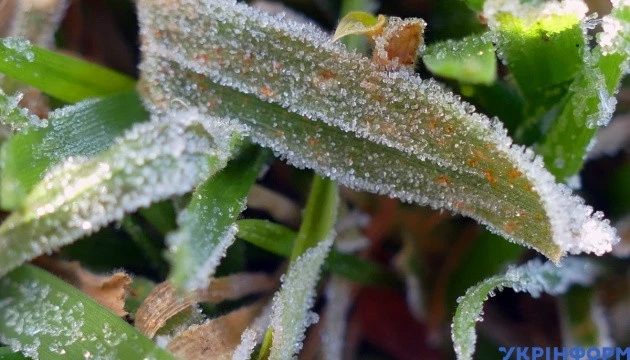 Сьогодні в Україні 8-13° тепла, місцями прогріє до +19°