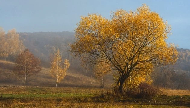 4 листопада: народний календар і астровісник