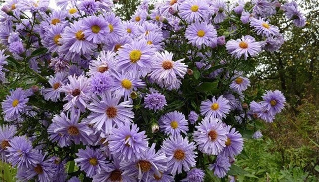 10 листопада: народний календар і астровісник