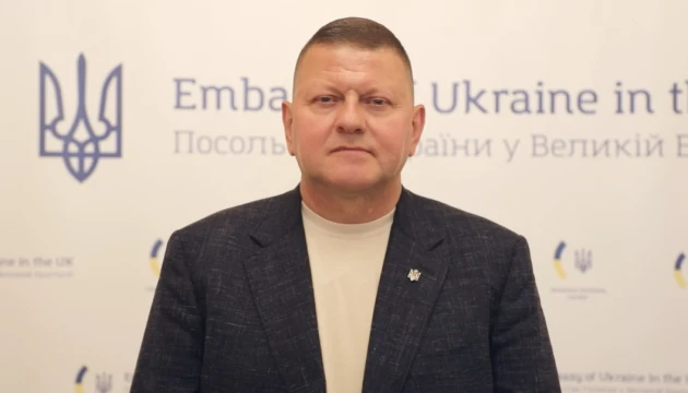 Залужний: Україна має довести, що непідтримка - це головний геополітичний ризик для США
