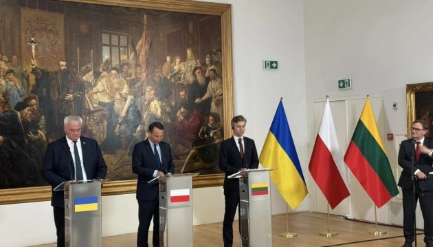 Сікорський: Росії знадобиться 70 років, щоб захопити Україну такими темпами