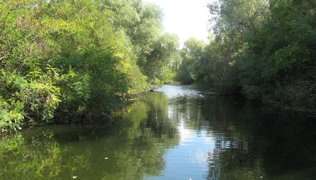 До Ковалівського лісу на Миколаївщині курсуватиме водний експрес