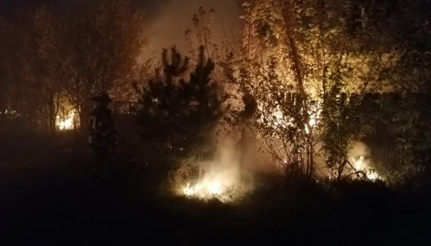 На Луганщині зафіксували 85 пожеж, із них ліквідували половину