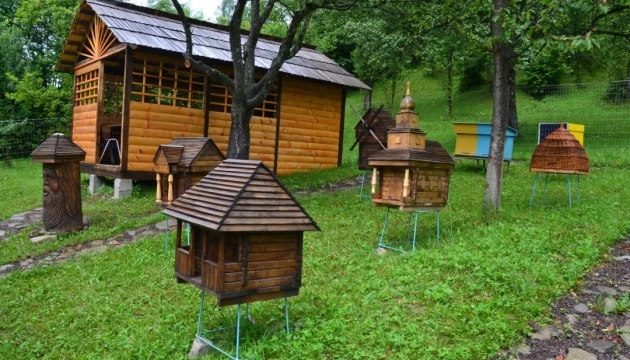 У Колочаві з’явилося бджолине «село»