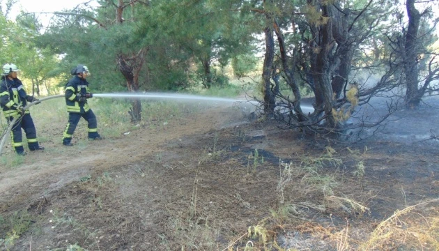 Поблизу Сєвєродонецька знову горить ліс