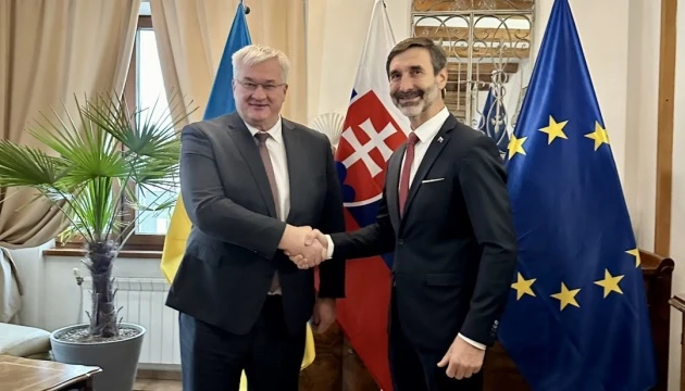 Словаччина підтримує відкриття першого переговорного кластера щодо вступу України в ЄС - Сибіга