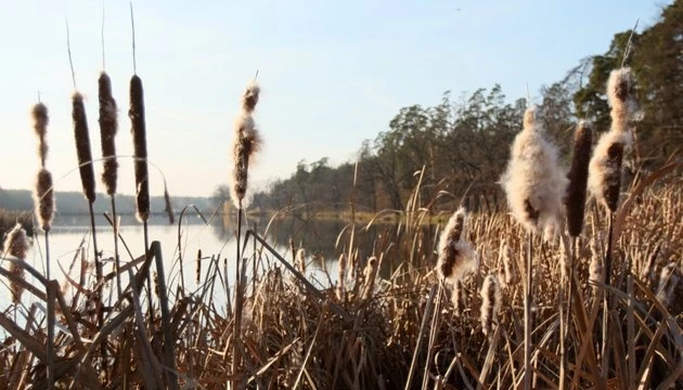 11 жовтня: народний календар і астровісник