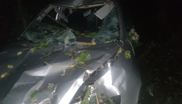 На Вінниччині дерево впало на автівку, водій загинув