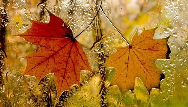 1 листопада: народний календар і астровісник