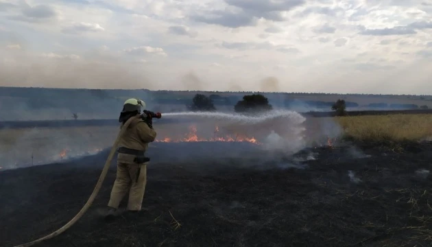 Пожежі на Луганщині: рятувальники ліквідували чотири з восьми осередків