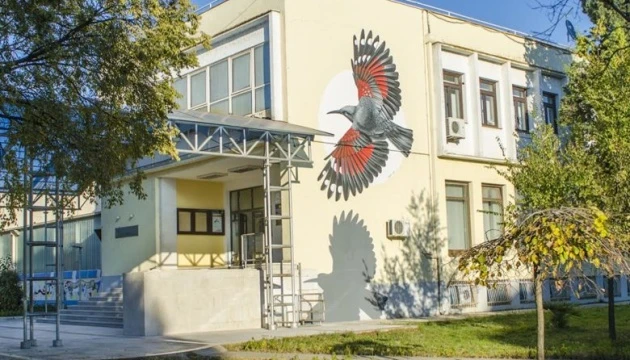 Дні молодих українських талантів стартують у Чорногорії