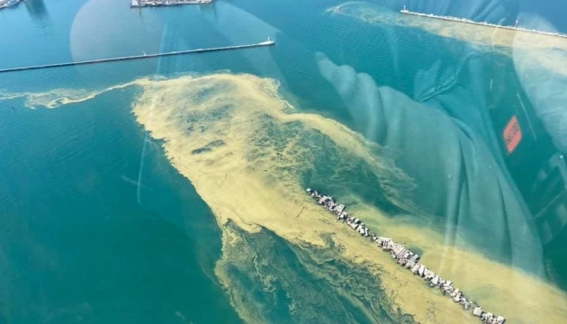 Море біля Одеси 