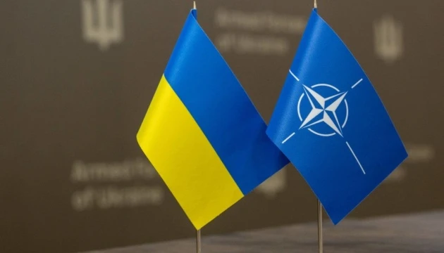 Федоров і Рютте синхронізували пріоритети перед наступним «Рамштайном»