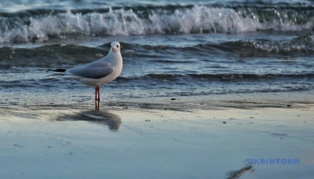 У Чорному та Азовському морях - без російських бойових кораблів