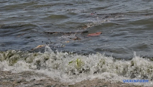 Для подолання наслідків екоциду Чорного моря потрібні нові природоохоронні акваторії - науковець
