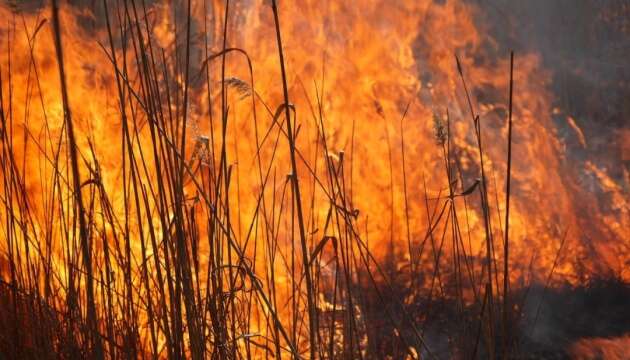 Під Одесою - масштабна пожежа, у нацпарку горить очерет