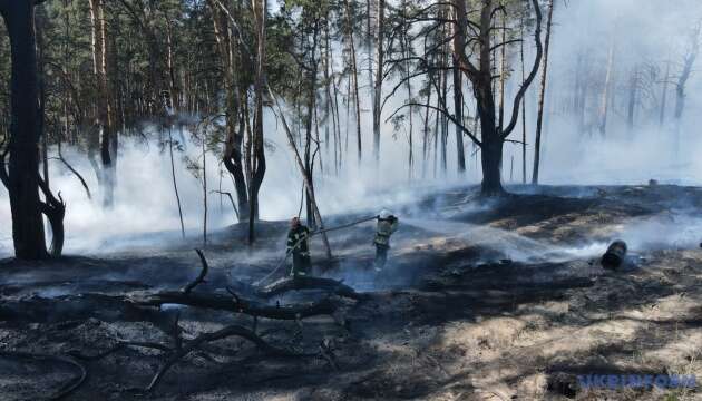 Цьогоріч виникло понад 3770 пожеж у екосистемах - рятувальники назвали основну причину