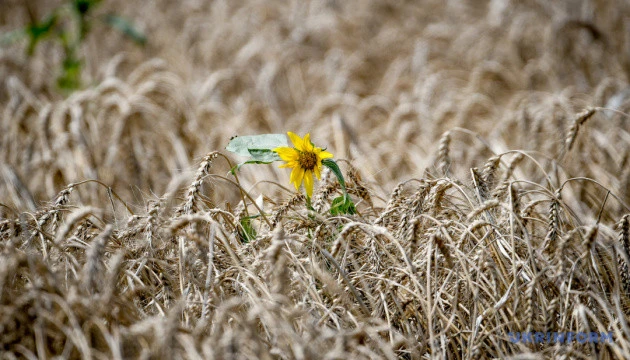 Податкова роз'яснила спрощений порядок сплати за землю при зміні власника нерухомості
