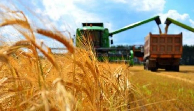 Аграрна спільнота очікує на прийняття 10 важливих законопроєктів - експерти