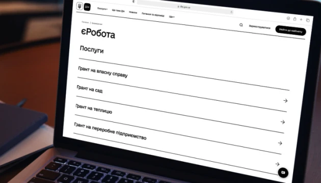 «єРобота»: за програмою видали понад 25 тисяч мікрогрантів на розвиток власної справи