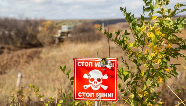 Окупанти “нашпиговують” мирні території Донбасу забороненими мінами – місія ОБСЄ