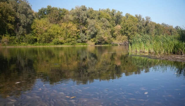 На Чернігівщині й надалі погіршується якість води у річці Сейм - Міндовкілля