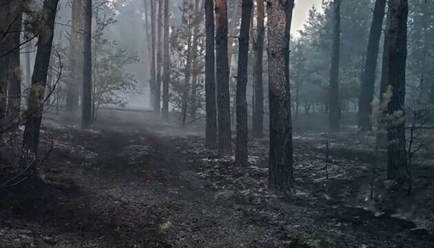 На Миколаївщині другий день горить лісовий масив