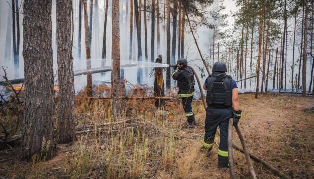 Ліквідували пожежу у нацпарку «Святі гори», яка тривала вісім днів