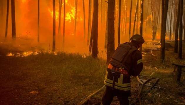 В екосистемах України цьогоріч сталося вже понад 38 тисяч пожеж