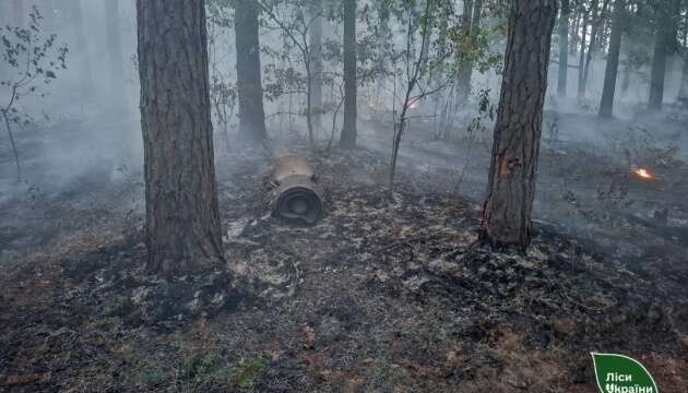 На Київщині гасять лісові пожежі після нічного ракетного обстрілу