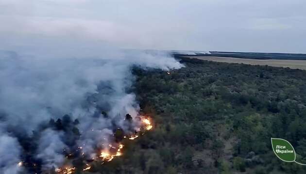 Внаслідок російських обстрілів у лісових угіддях від початку року зафіксували рекордну кількість пожеж