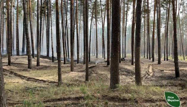 На Черкащині через пожежі внаслідок падіння уламків ракет пошкоджені майже 6 гектарів лісу