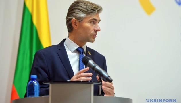 Глава МЗС Литви - про нічну атаку Росії: Агресор не зупиниться, доки його не зупинять