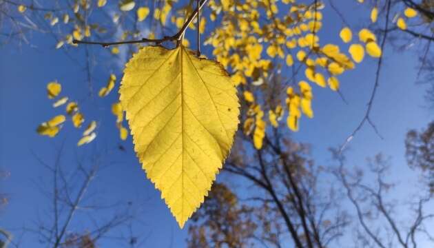 В Україні завтра опади не очікуються, вдень до 22°