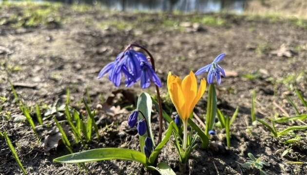 Україні в неділю прогнозують до 18° тепла, без опадів