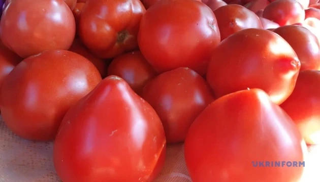 В Україні стрімко дорожчають тепличні помідори - EastFruit