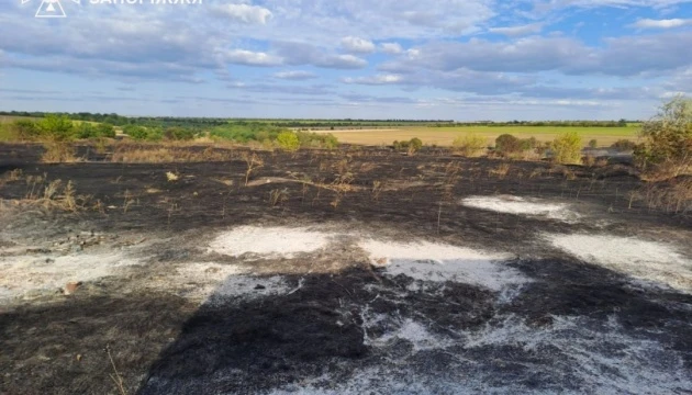 На Запоріжжі через обстріли РФ спалахнула пожежа - вигоріли 11 гектарів території, загинула жінка